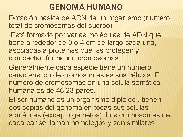 GENOMA HUMANO Dotación básica de ADN de un organismo (numero total de cromosomas del