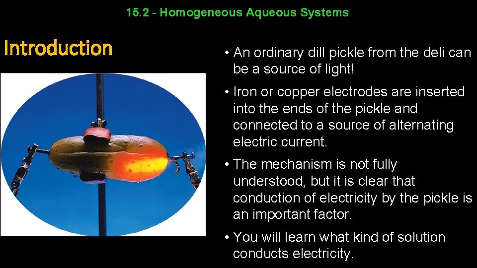 15. 2 - Homogeneous Aqueous Systems Introduction • An ordinary dill pickle from the