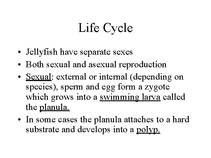 Life Cycle • Jellyfish have separate sexes • Both sexual and asexual reproduction •