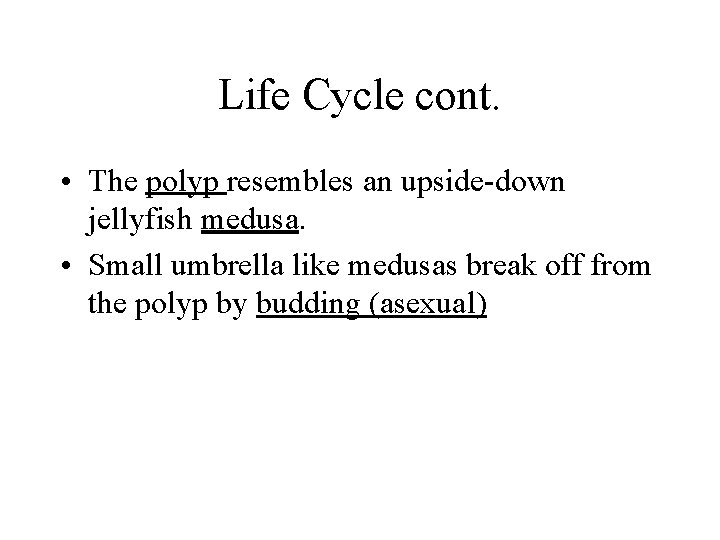 Life Cycle cont. • The polyp resembles an upside-down jellyfish medusa. • Small umbrella