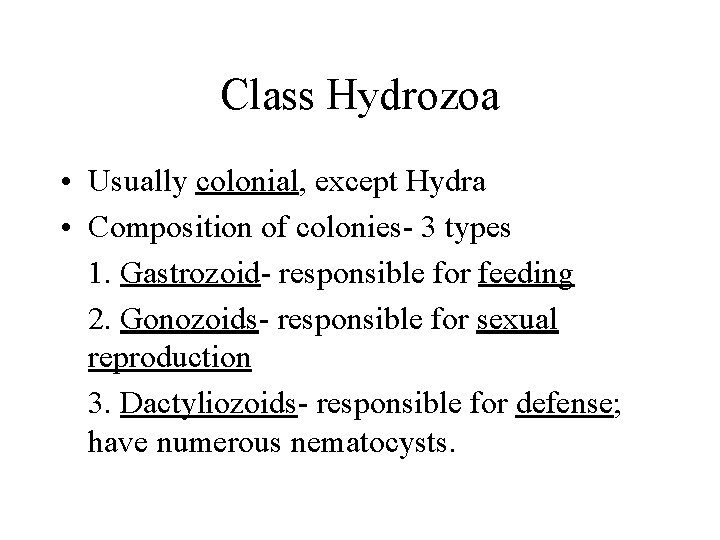 Class Hydrozoa • Usually colonial, except Hydra • Composition of colonies- 3 types 1.