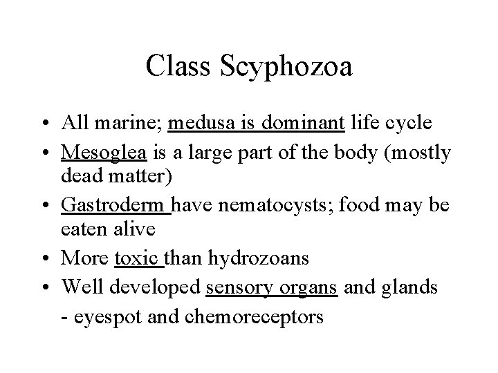 Class Scyphozoa • All marine; medusa is dominant life cycle • Mesoglea is a