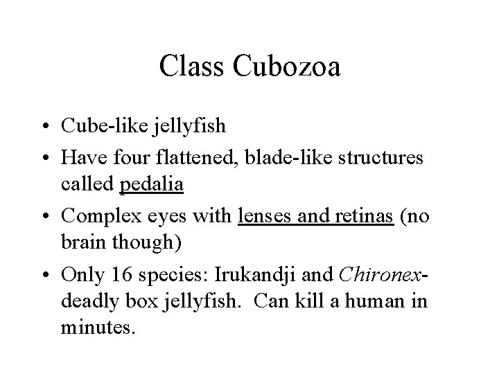 Class Cubozoa • Cube-like jellyfish • Have four flattened, blade-like structures called pedalia •