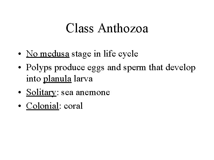 Class Anthozoa • No medusa stage in life cycle • Polyps produce eggs and