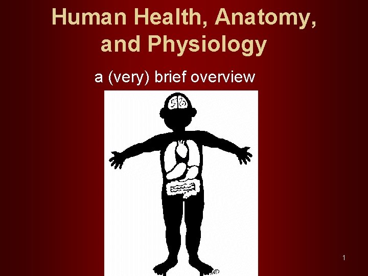 Human Health, Anatomy, and Physiology a (very) brief overview 1 