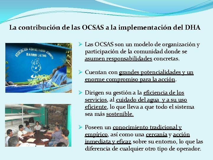 La contribución de las OCSAS a la implementación del DHA Ø Las OCSAS son