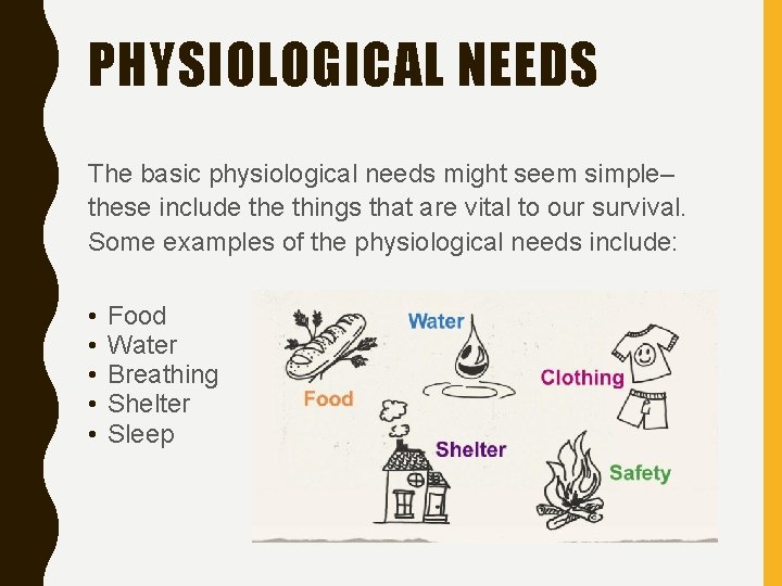 PHYSIOLOGICAL NEEDS The basic physiological needs might seem simple– these include things that are