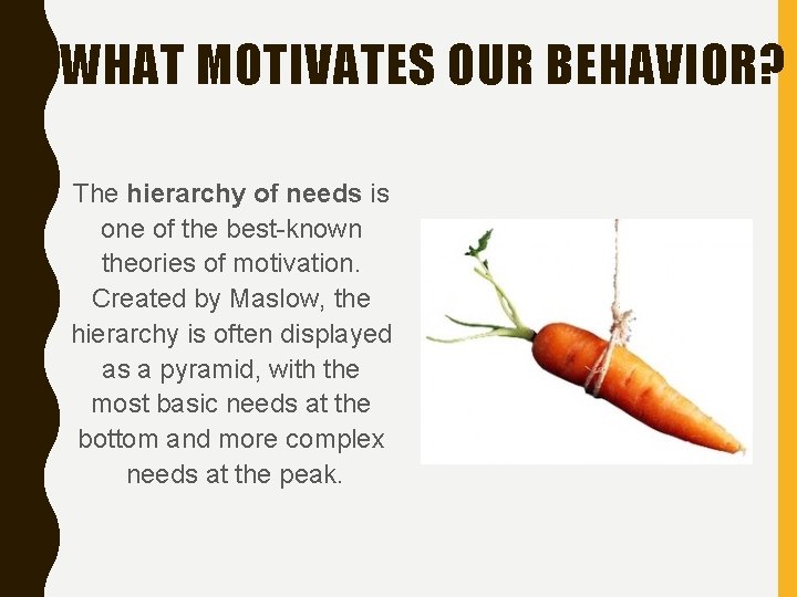 WHAT MOTIVATES OUR BEHAVIOR? The hierarchy of needs is one of the best-known theories