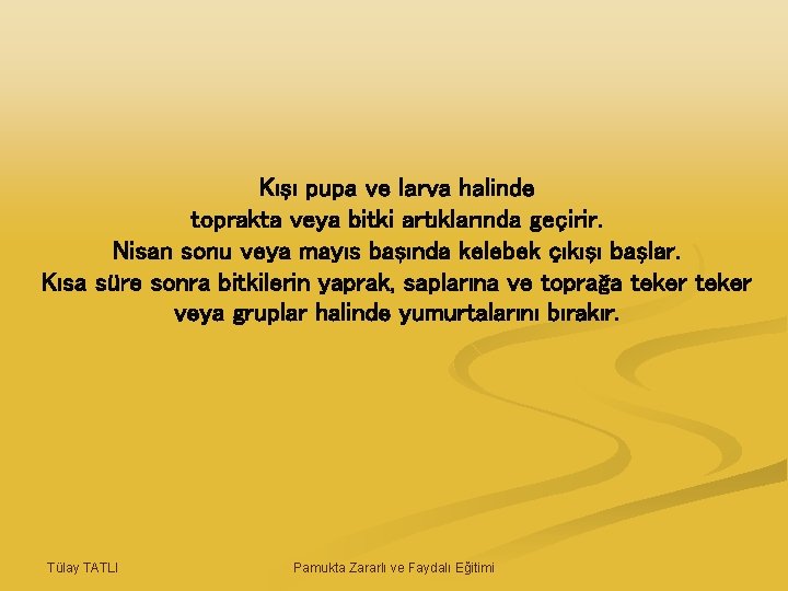 Kışı pupa ve larva halinde toprakta veya bitki artıklarında geçirir. Nisan sonu veya mayıs