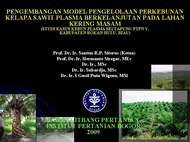 PENGEMBANGAN MODEL PENGELOLAAN PERKEBUNAN KELAPA SAWIT PLASMA BERKELANJUTAN PADA LAHAN KERING MASAM (STUDI KASUS