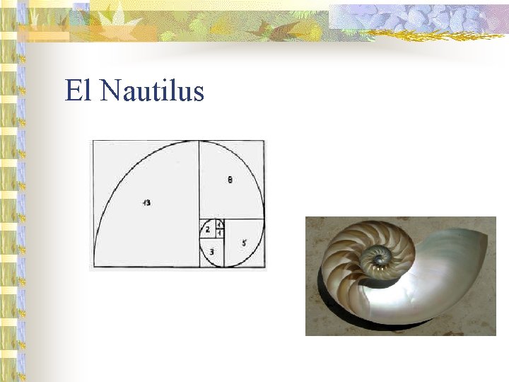 El Nautilus 