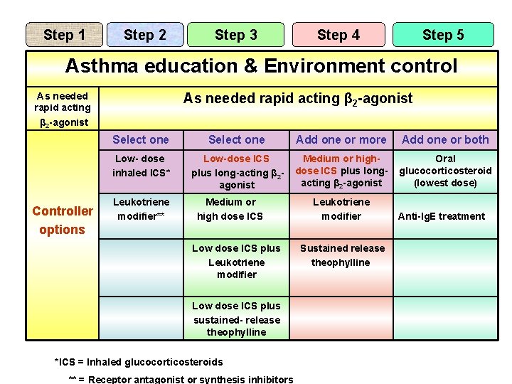 Step 1 Step 2 Step 3 Step 4 Step 5 Asthma education & Environment