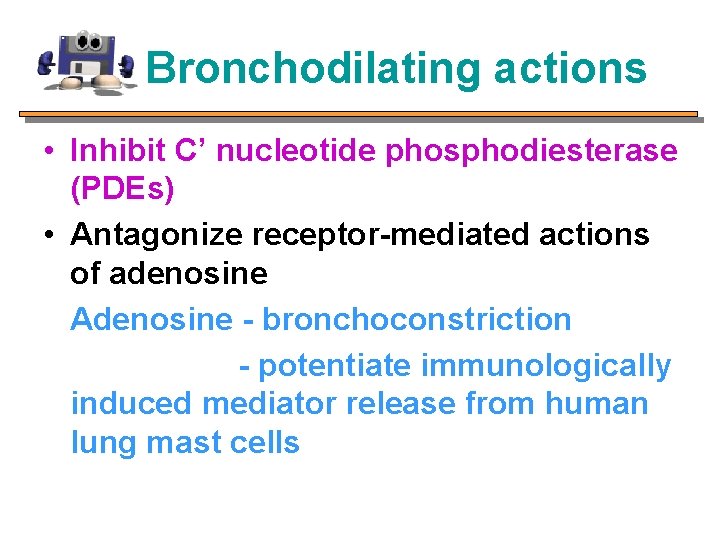 Bronchodilating actions • Inhibit C’ nucleotide phosphodiesterase (PDEs) • Antagonize receptor-mediated actions of adenosine