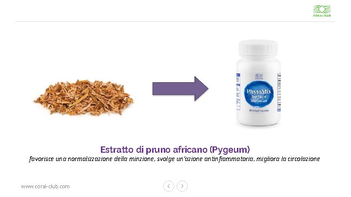 Estratto di pruno africano (Pygeum) favorisce una normalizzazione della minzione, svolge un'azione antinfiammatoria, migliora