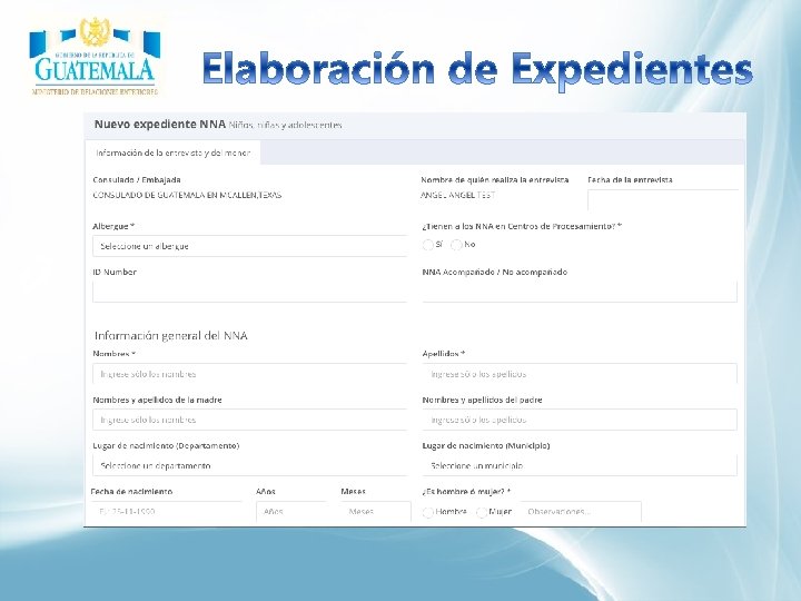 Qué pretende: Captura de Información a través de Misiones Consulares Elaboración de Informes /