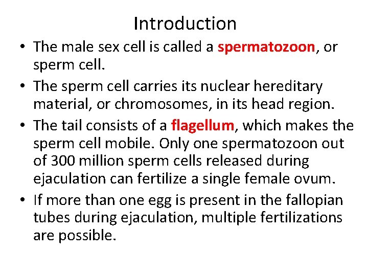 Introduction • The male sex cell is called a spermatozoon, or sperm cell. •