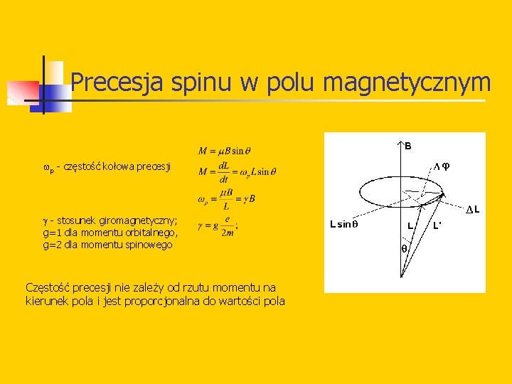 Precesja spinu w polu magnetycznym p - częstość kołowa precesji - stosunek giromagnetyczny; g=1