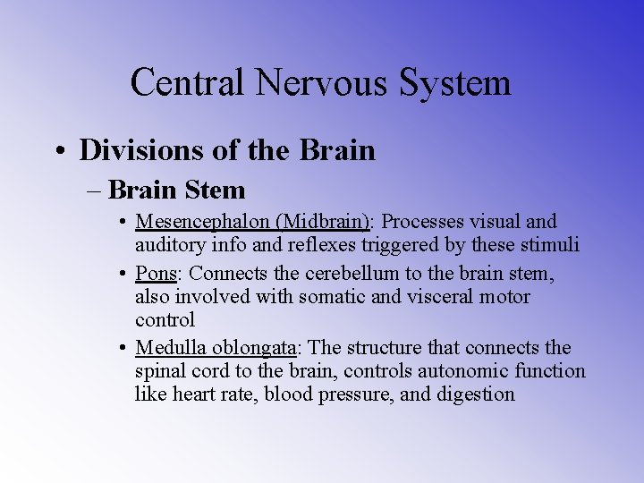 Central Nervous System • Divisions of the Brain – Brain Stem • Mesencephalon (Midbrain):