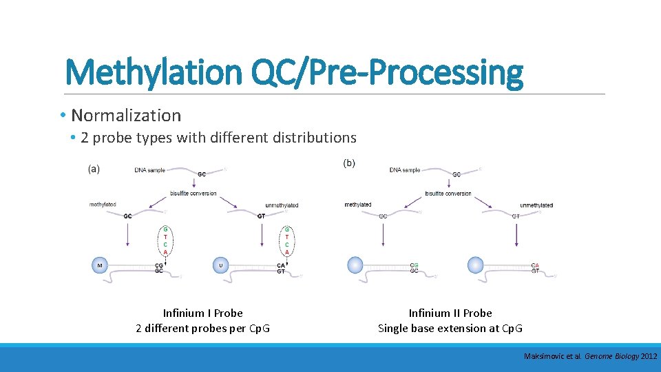 Methylation QC/Pre-Processing • Normalization • 2 probe types with different distributions Infinium I Probe