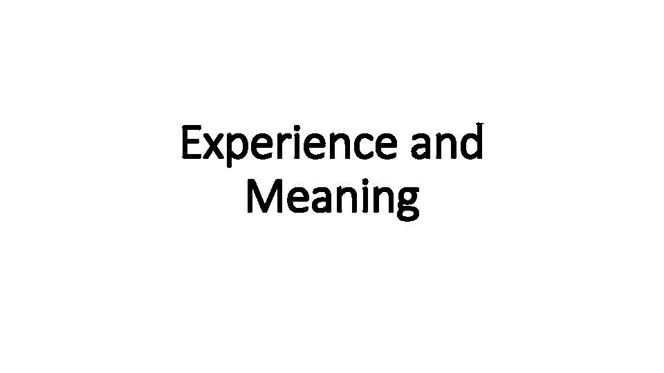 Experience and Meaning 
