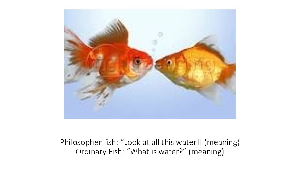 Philosopher fish: “Look at all this water!! (meaning) Ordinary Fish: “What is water? ”