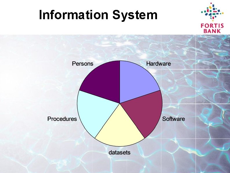 Information System 