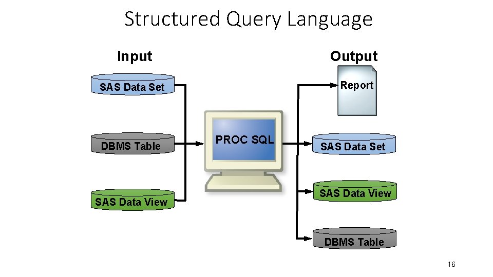 Structured Query Language Input Output Report SAS Data Set DBMS Table SAS Data View