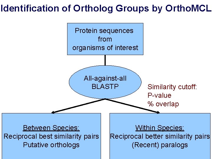 Identification of Ortholog Groups by Ortho. MCL Protein sequences from organisms of interest All-against-all