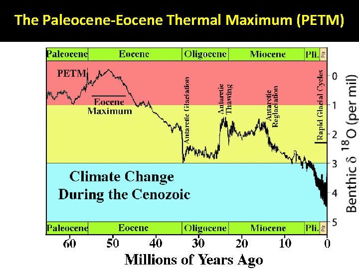 The Paleocene-Eocene Thermal Maximum (PETM) 