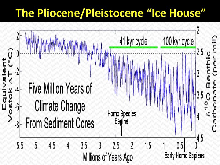 The Pliocene/Pleistocene “Ice House” 