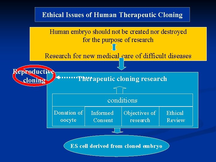 Ethical Issues of Human Therapeutic Cloning Human embryo should not be created nor destroyed