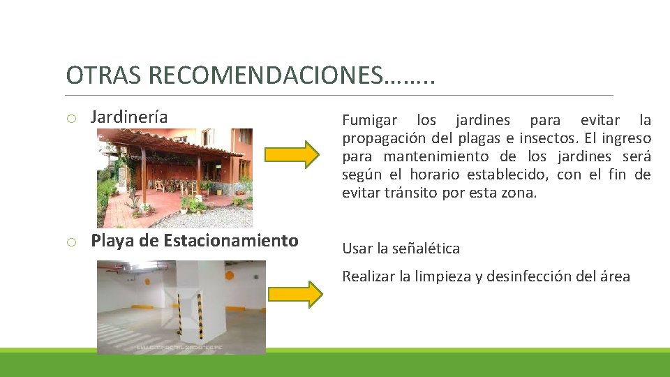 OTRAS RECOMENDACIONES……. . o Jardinería o Playa de Estacionamiento Fumigar los jardines para evitar
