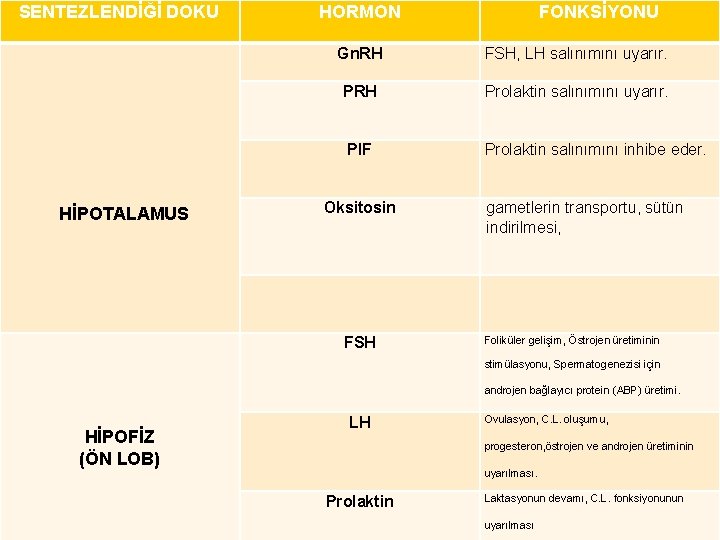 SENTEZLENDİĞİ DOKU HİPOTALAMUS HORMON FONKSİYONU Gn. RH FSH, LH salınımını uyarır. PRH Prolaktin salınımını