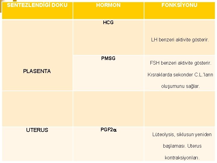 SENTEZLENDİĞİ DOKU HORMON FONKSİYONU HCG LH benzeri aktivite gösterir. PMSG PLASENTA FSH benzeri aktivite