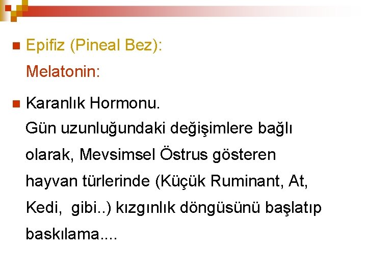  Epifiz (Pineal Bez): Melatonin: Karanlık Hormonu. Gün uzunluğundaki değişimlere bağlı olarak, Mevsimsel Östrus