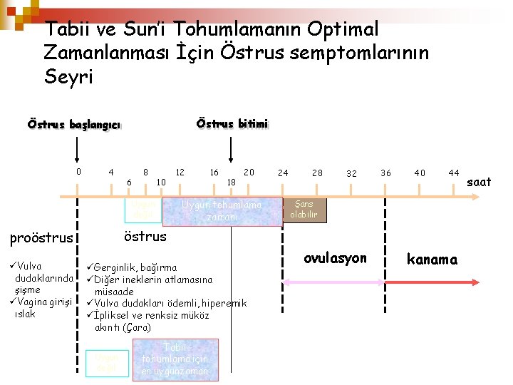 Tabii ve Sun’i Tohumlamanın Optimal Zamanlanması İçin Östrus semptomlarının Seyri Östrus bitimi Östrus başlangıcı