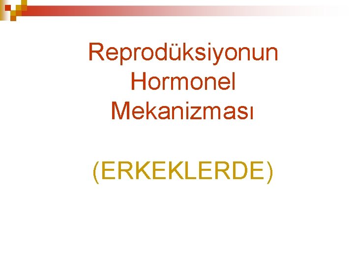 Reprodüksiyonun Hormonel Mekanizması (ERKEKLERDE) 