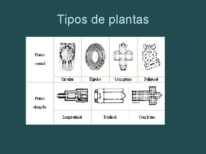 Tipos de plantas 