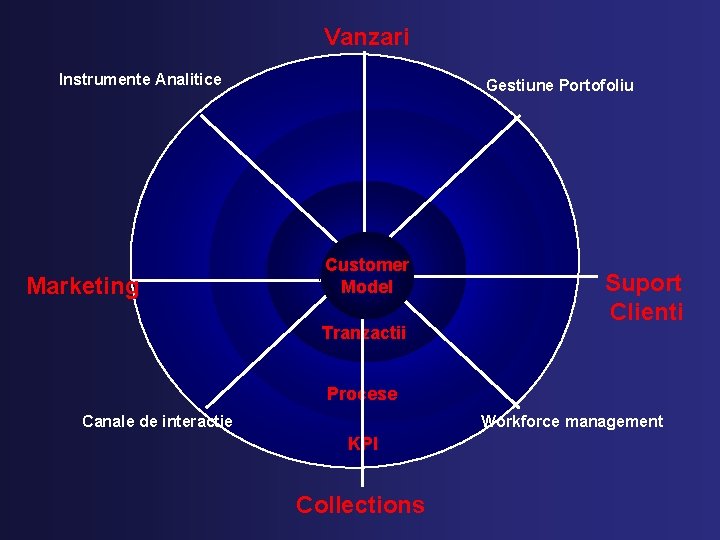 Vanzari Instrumente Analitice Marketing Gestiune Portofoliu Customer Model Tranzactii Suport Clienti Procese Canale de