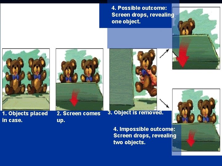 4. Possible outcome: Screen drops, revealing one object. 1. Objects placed in case. 2.