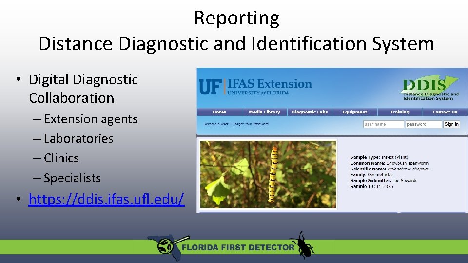 Reporting Distance Diagnostic and Identification System • Digital Diagnostic Collaboration – Extension agents –