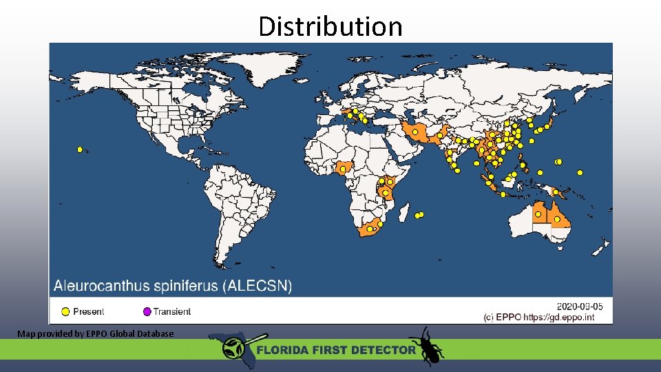 Distribution Map provided by EPPO Global Database 