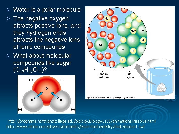 Water is a polar molecule Ø The negative oxygen attracts positive ions, and they