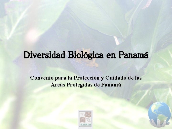 Diversidad Biológica en Panamá Convenio para la Protección y Cuidado de las Áreas Protegidas