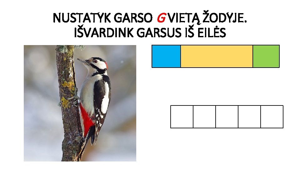 NUSTATYK GARSO G VIETĄ ŽODYJE. IŠVARDINK GARSUS IŠ EILĖS 