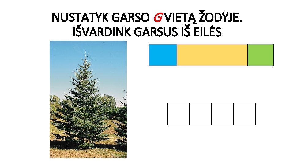 NUSTATYK GARSO G VIETĄ ŽODYJE. IŠVARDINK GARSUS IŠ EILĖS 