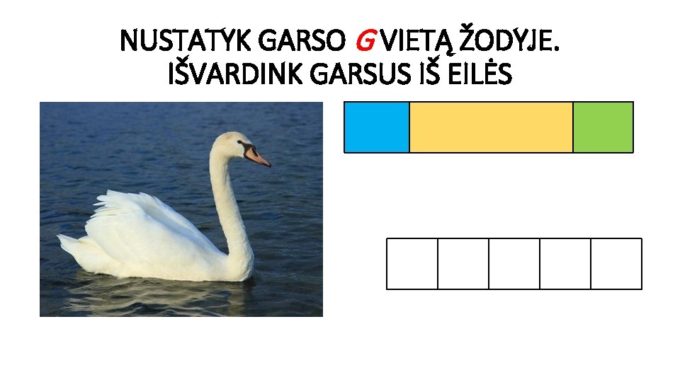 NUSTATYK GARSO G VIETĄ ŽODYJE. IŠVARDINK GARSUS IŠ EILĖS 