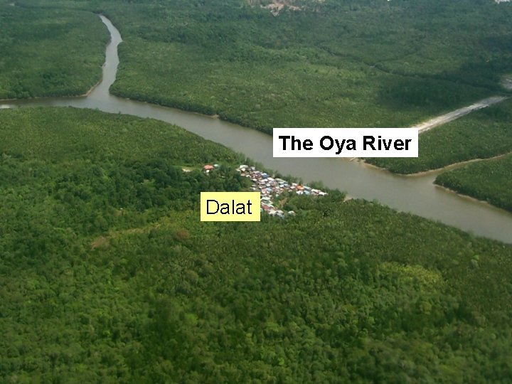 The Oya River Dalat 