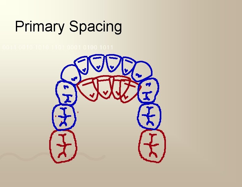 Primary Spacing 