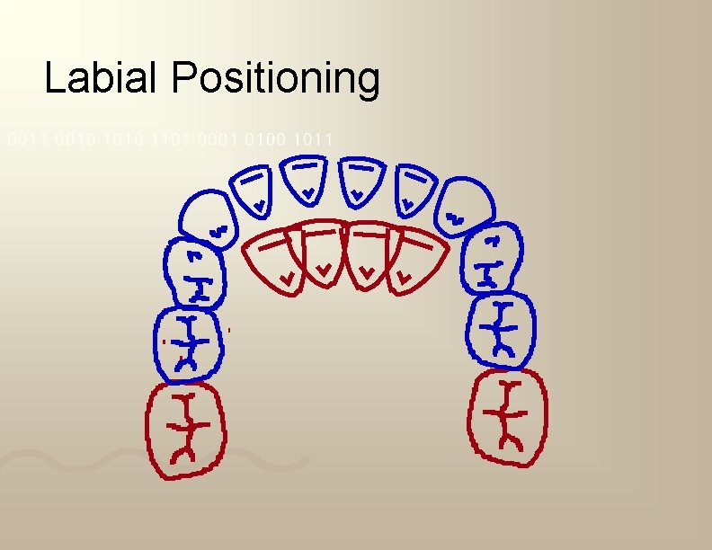 Labial Positioning 